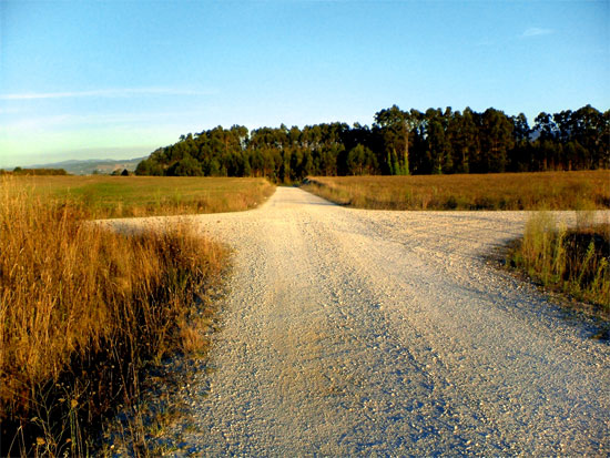 389143_9425road2.jpg