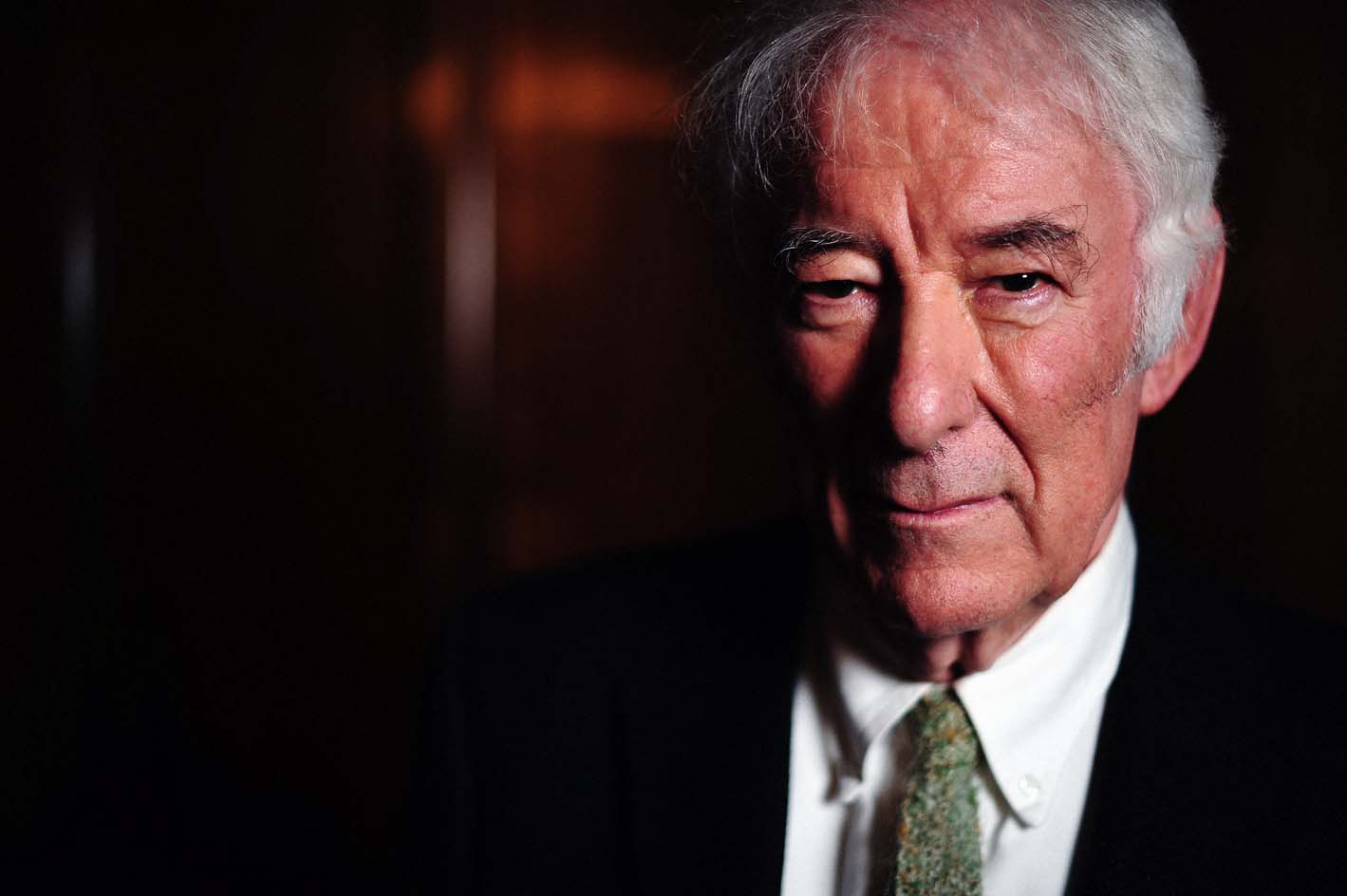 A-Seamus-Heaney-9.jpg