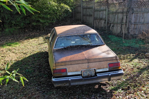 backyard_buick.jpg