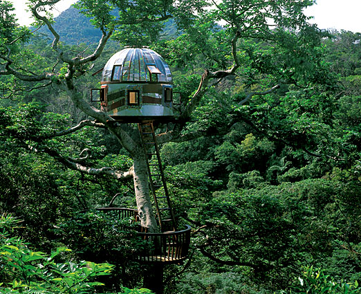 treehouseintrees.jpg