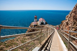 point-reyes-lighthouse-walk-hike