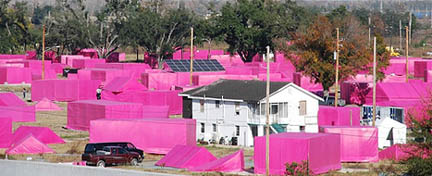 PinkNolaDay.jpg