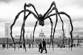 LouiseBourgeoisspider.jpg