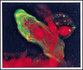 cover_6.jpg