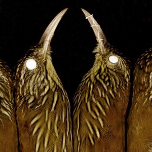deadbirdsgreenberg1.jpg