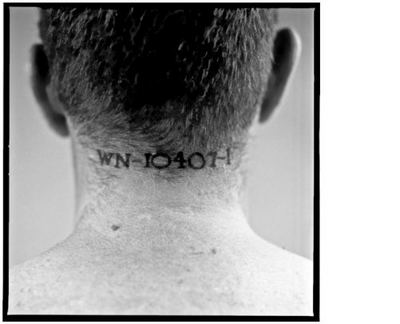 american history x tattoos. license number tattooed on