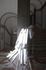 Bernardiroiglight.jpg