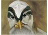 andrewkeatingbird.jpg
