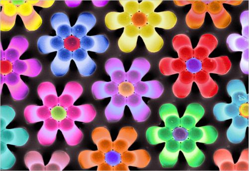 scienceflowers.jpg