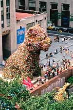 koons03b.jpg