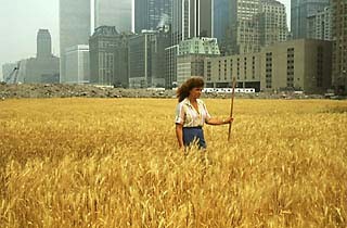 wheatart-m.jpg