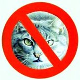 Ban All Cats Logo 
