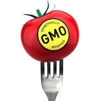 gmo