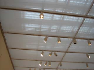 ChicLights.jpg