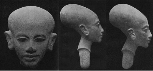 EgyAmarn.jpg