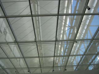 IMG_1842.jpg