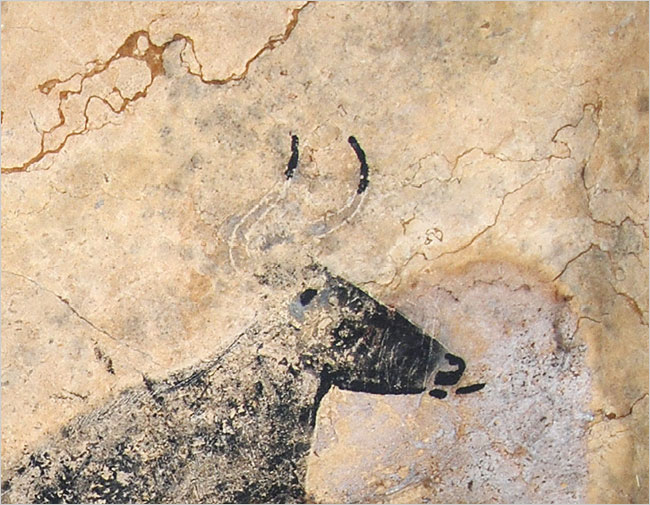 lascaux jpg