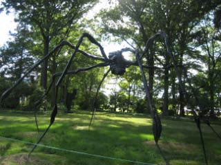 Spider.jpg