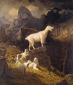 MetGoats2.jpg