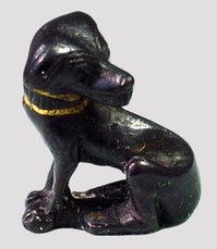 MetTutDog2.jpg