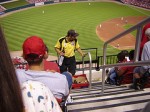 BaseballHawker