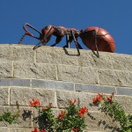 Them(Ant)