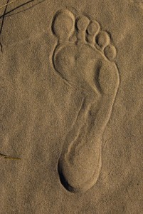 Footprint