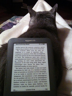 catkindle.jpg