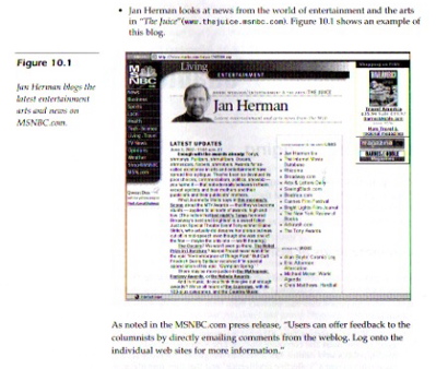 from page 158 of Biz Stone's book, BLOGGING: Genius Strategies for Instant Web Content [published by New Riders, Berkeley, California].