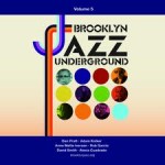 brooklyn underground sycamore