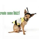 buzz