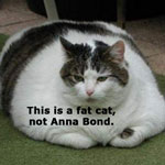 fat-cat.jpg