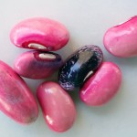 magicbeans