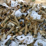 More Uncanny Piles of Discarded Prosthetics by Nadya Peek from Flickr. Used under Creative Commons license.