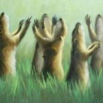 Prarie Dog Rapture