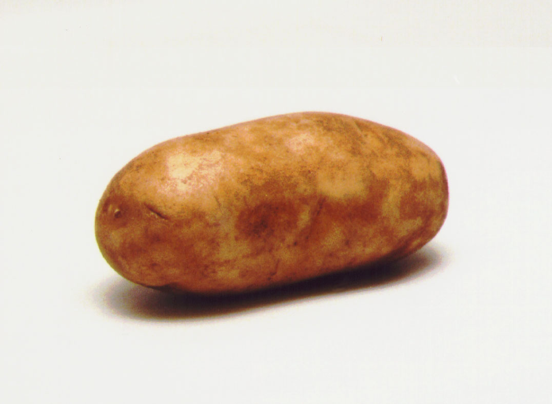 POTATO.jpg