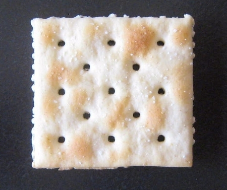 saltine black.jpg