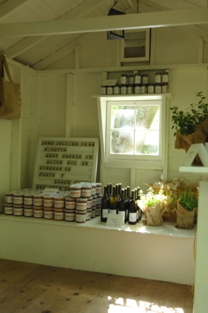 New General Store.jpg