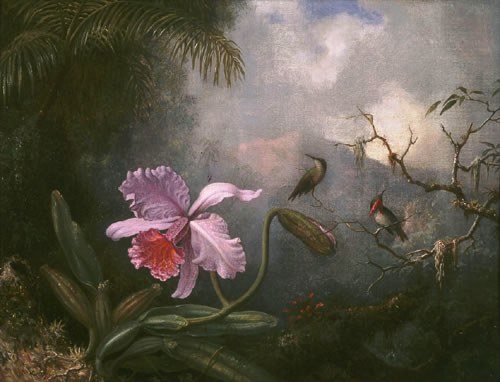 Heade-CattleyaOrchid.jpg