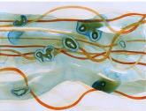 Orange Gyre2.jpg