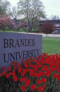 Brandeis.jpg