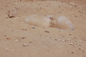Thumbnail image for Ramses-Aswan.jpg