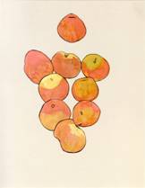 image003.jpg