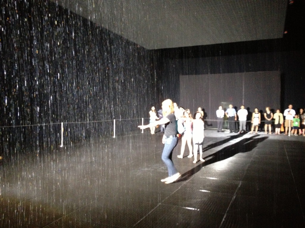 RainRoom