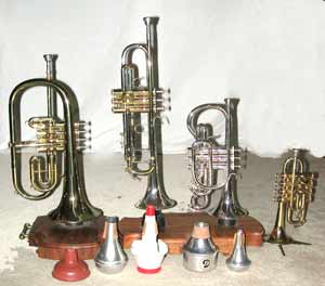 trumpet family.jpg