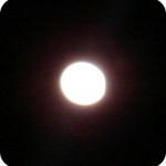Winter Moon 2011