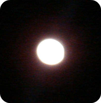Winter Moon 2011