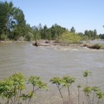Yakima High Water