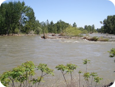 Yakima High Water