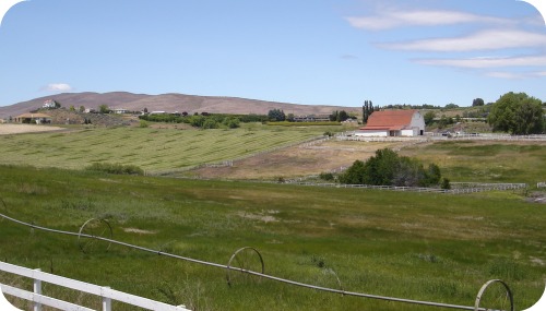 West Valley Scene